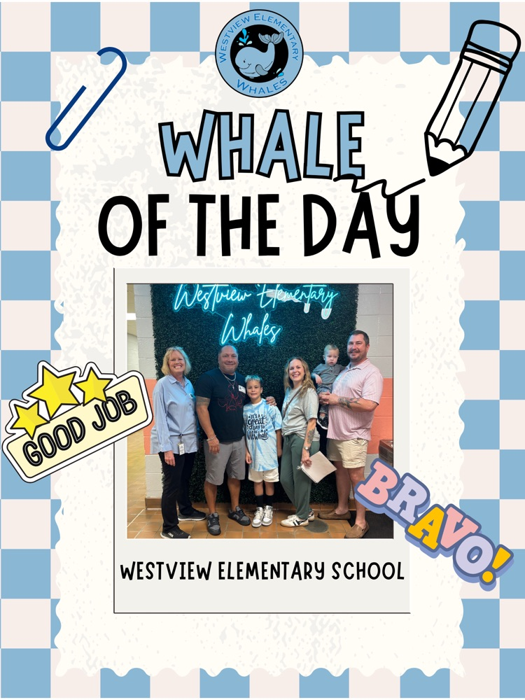 Whale of the Day