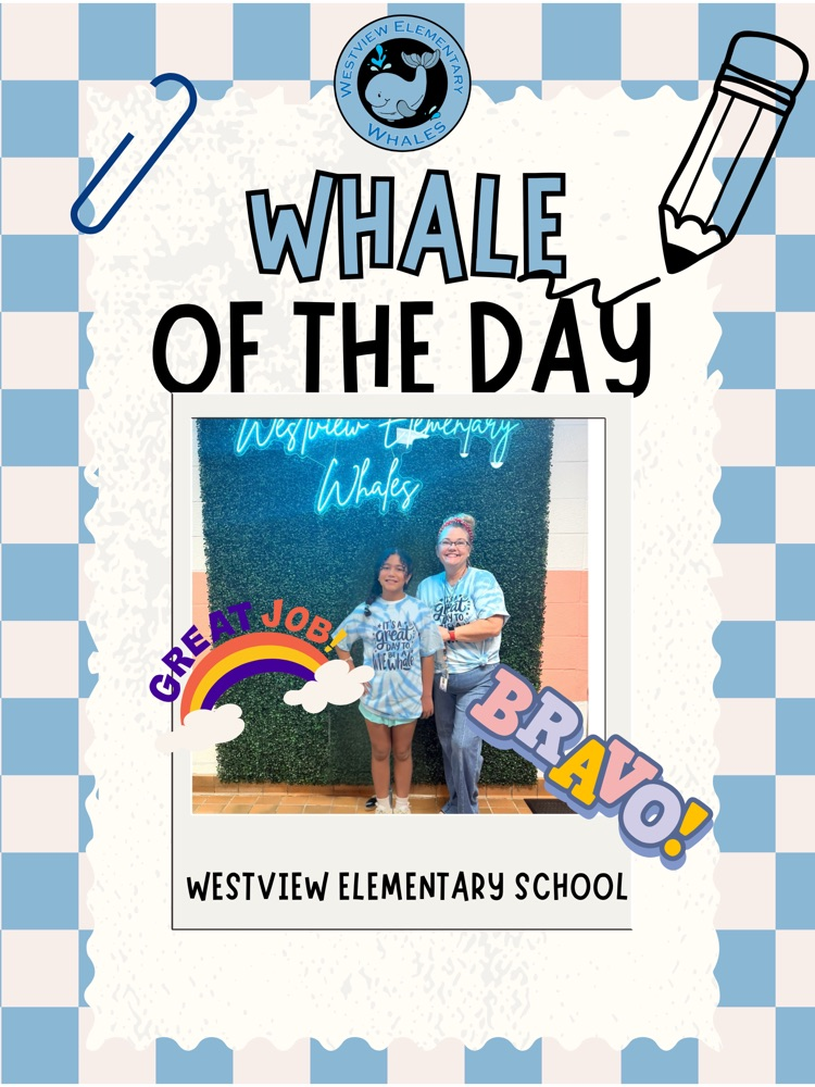 Whale of the Day