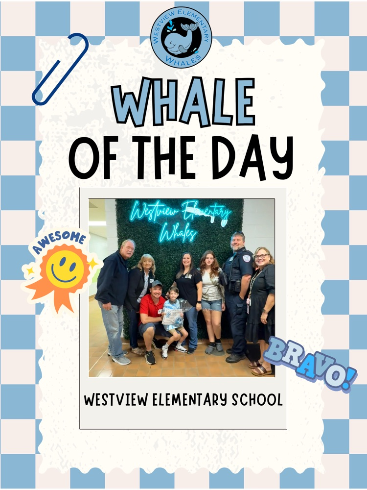 Whale of the Day
