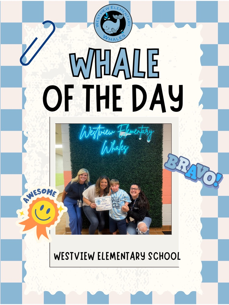 Whale of the Day