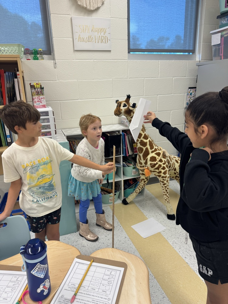 students experimenting with forces and motion 