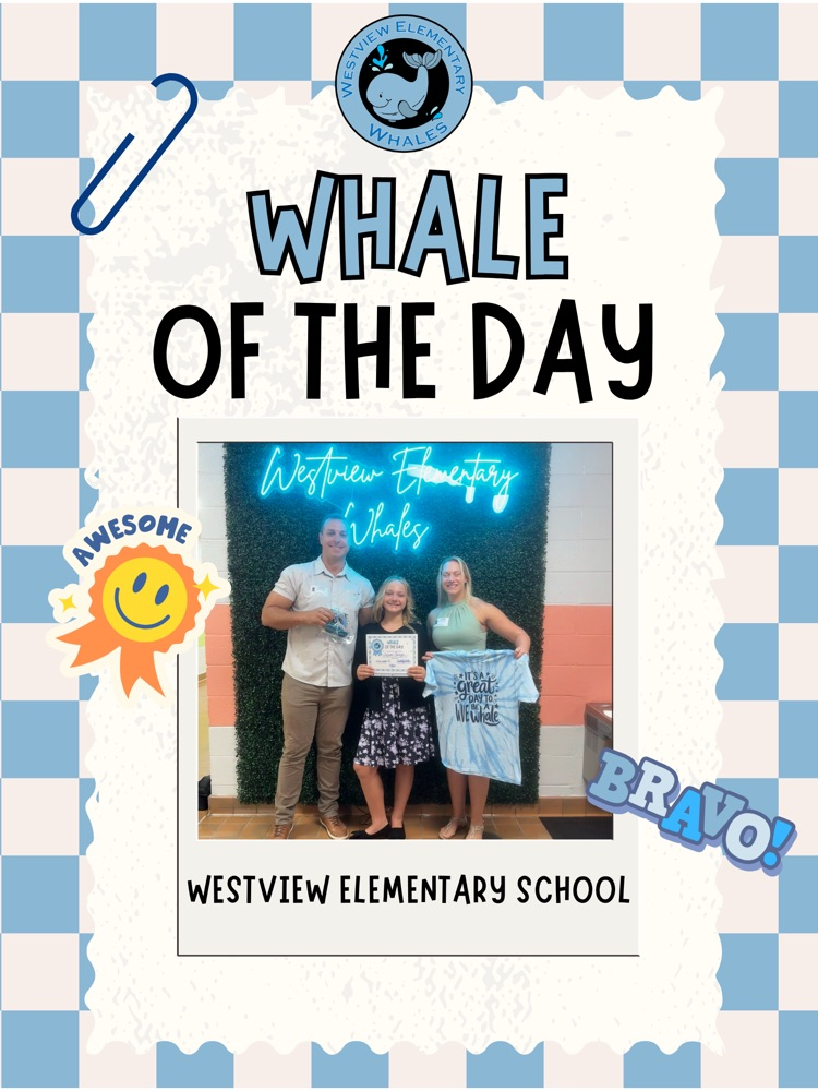 Whale of the Day