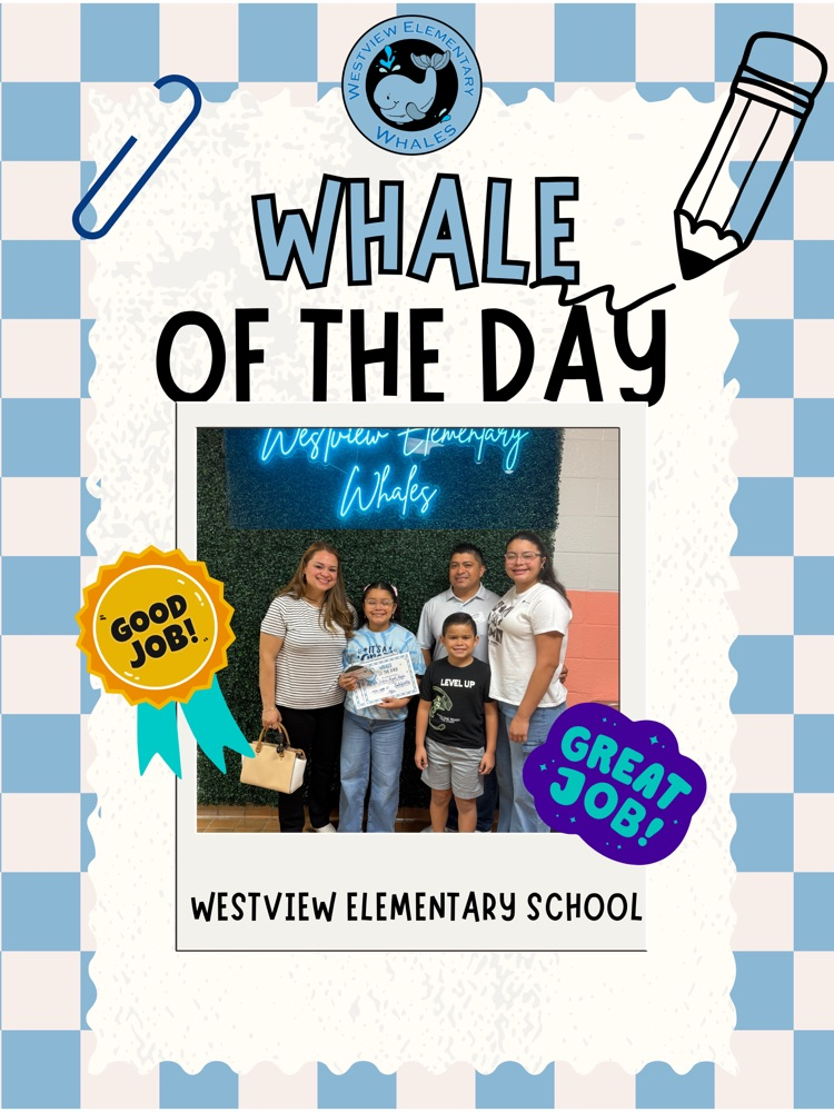 Whale of the Day