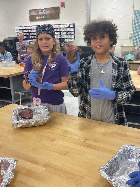 Students got to feel and observe the bones and organs.
