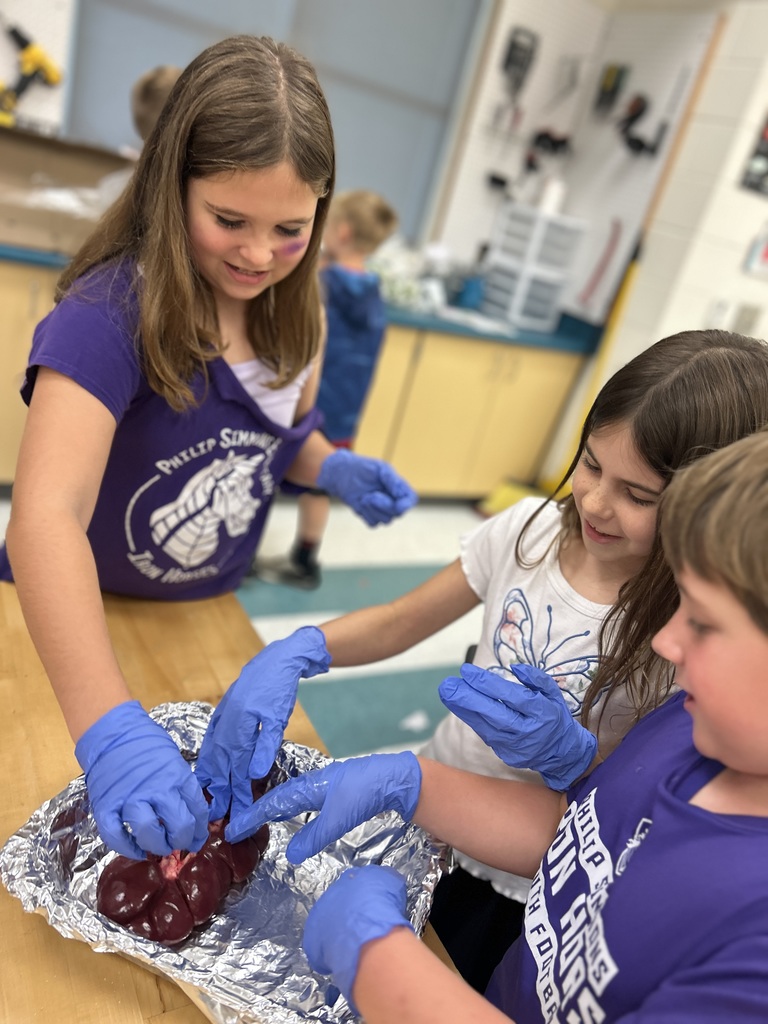 The students were very excited to touch and observe.