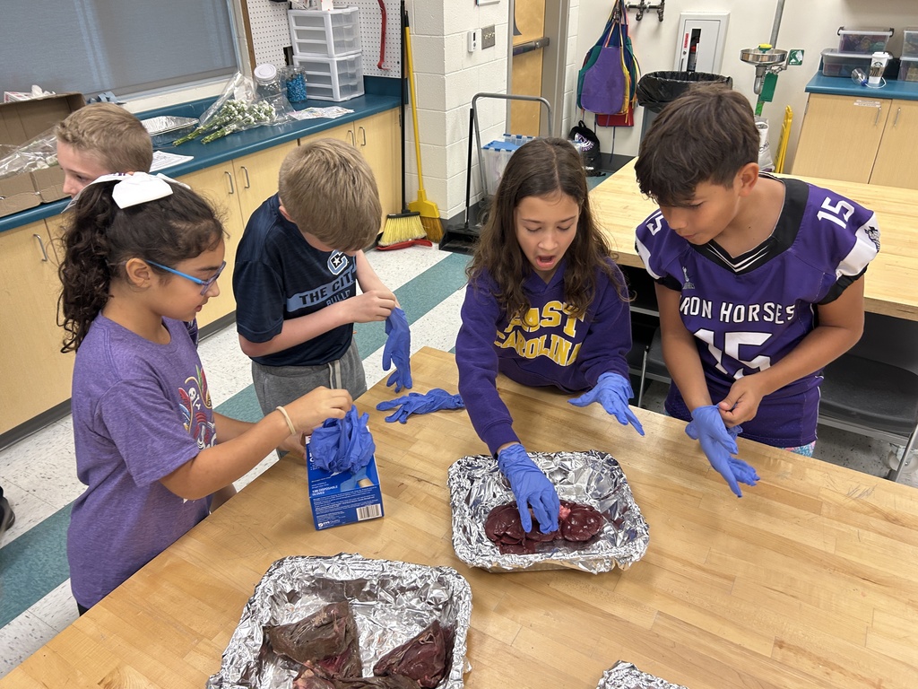 Students discussed observations about different animal organs.