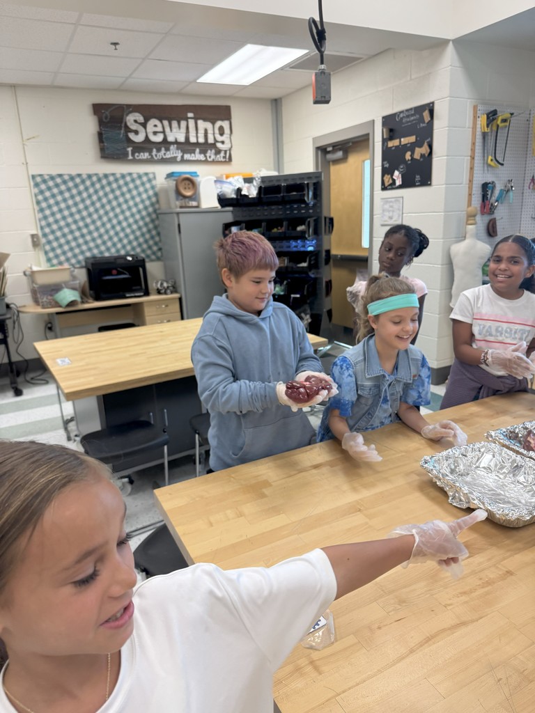 The students were so excited to make observations.