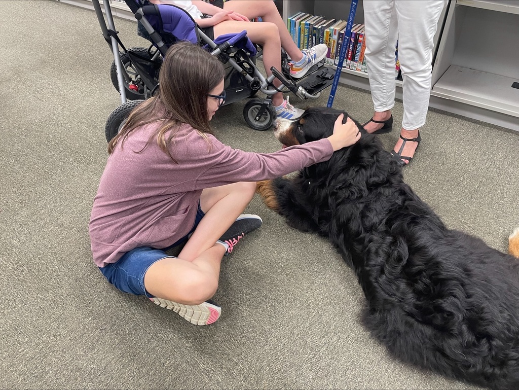 Petting