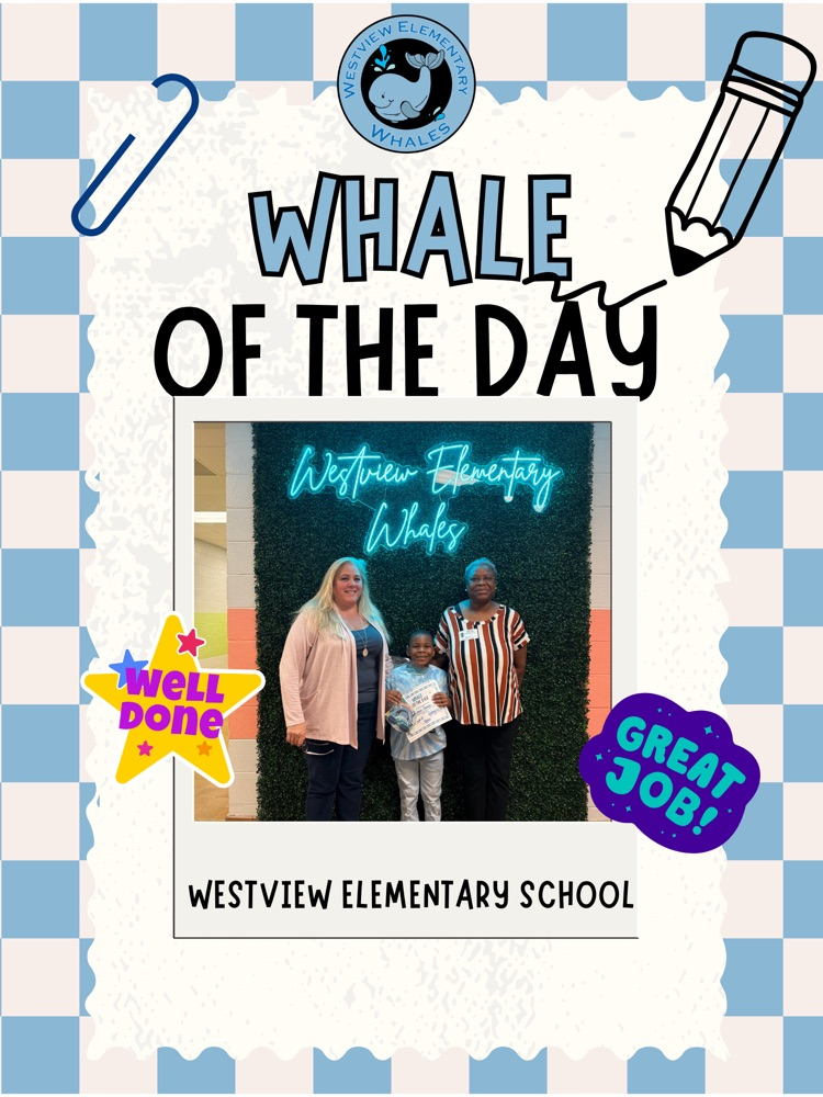 Whale of the Day