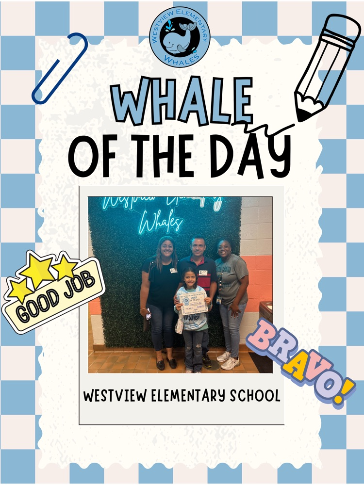 Whale of the Day
