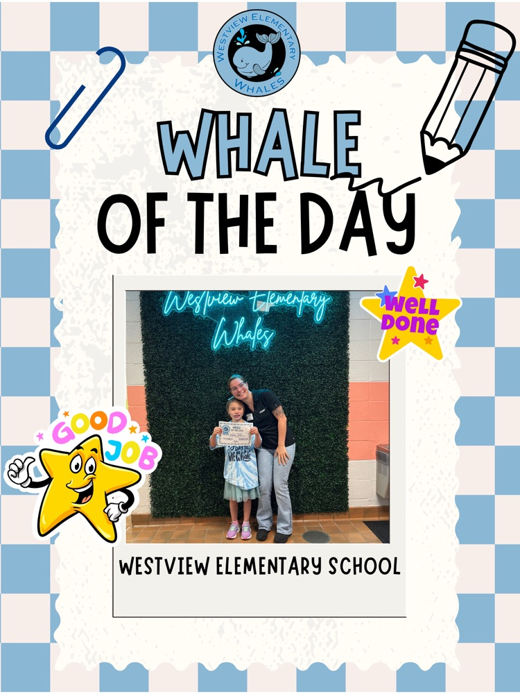 Whale of the Day