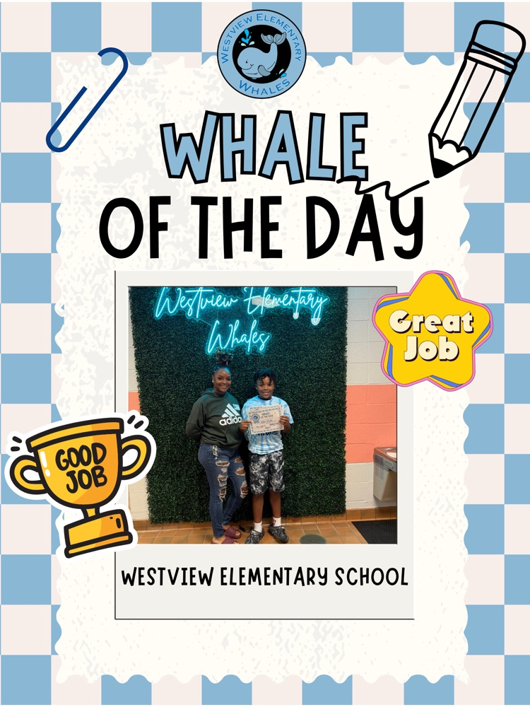 Whale of the Day