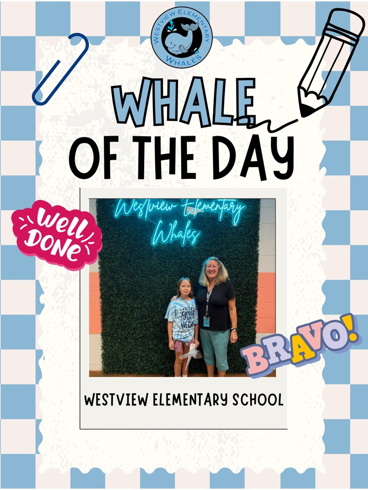 Whale of the Day
