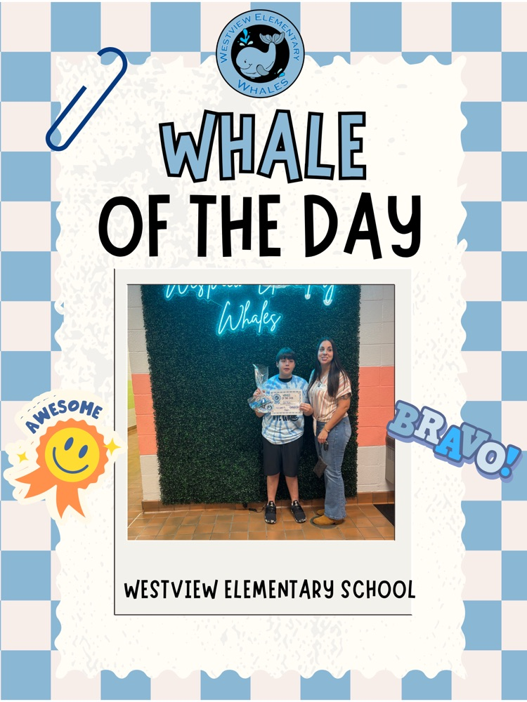 Whale of the Day
