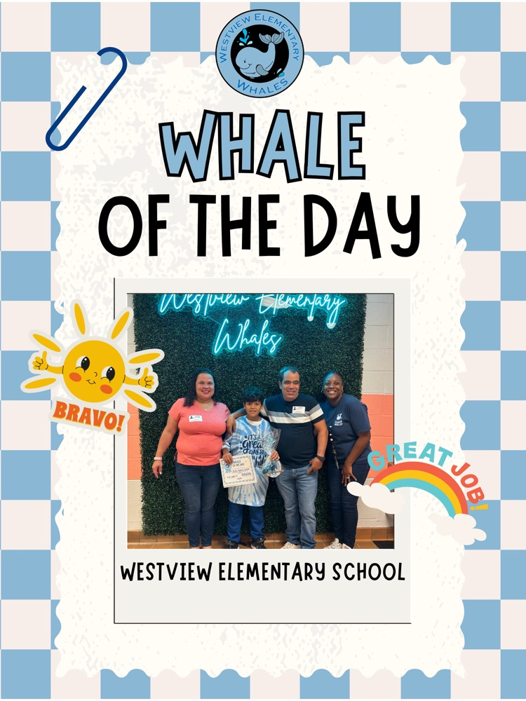 Whale of the Day