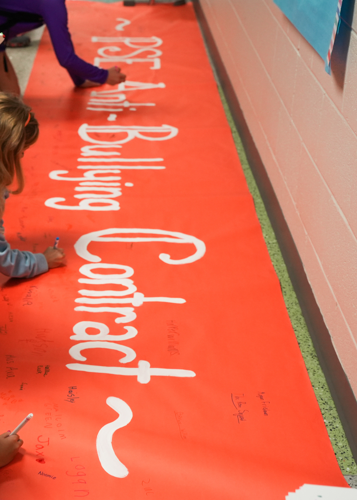 PSE Bullying banner