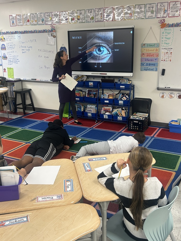 Students examined the components of an eye to make their art more realistic.