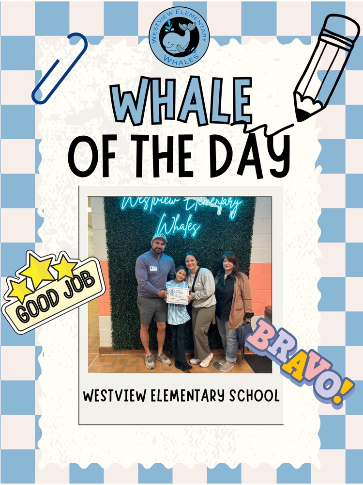 Whale of Day