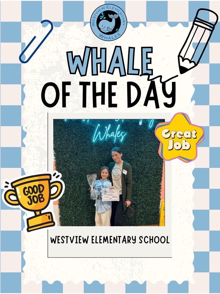 Whale of Day
