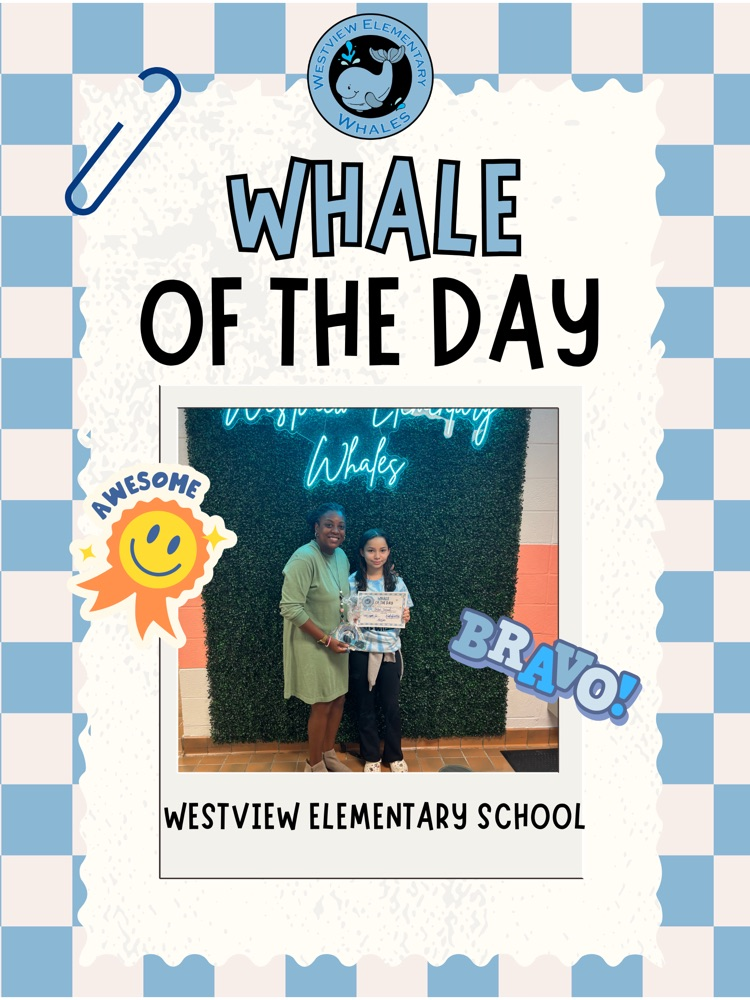 Whale of Day