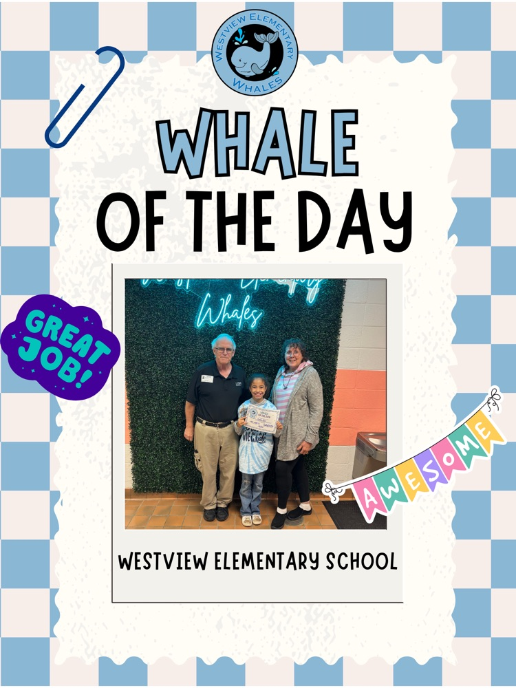 Whale of Day