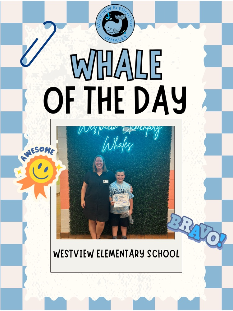 Whale of Day