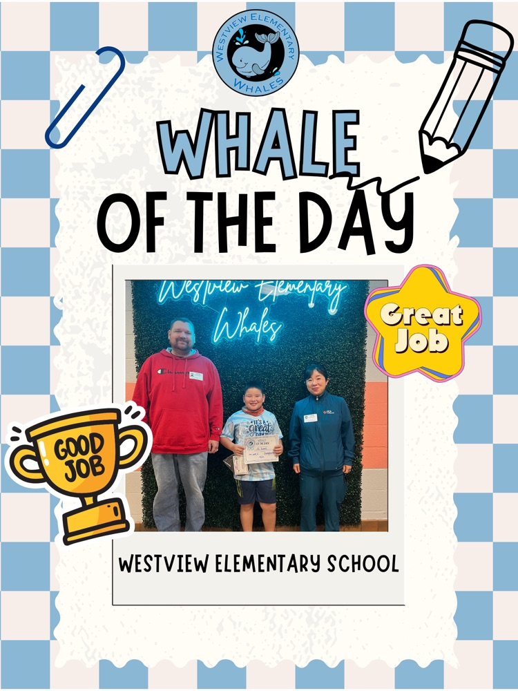 Whale of Day