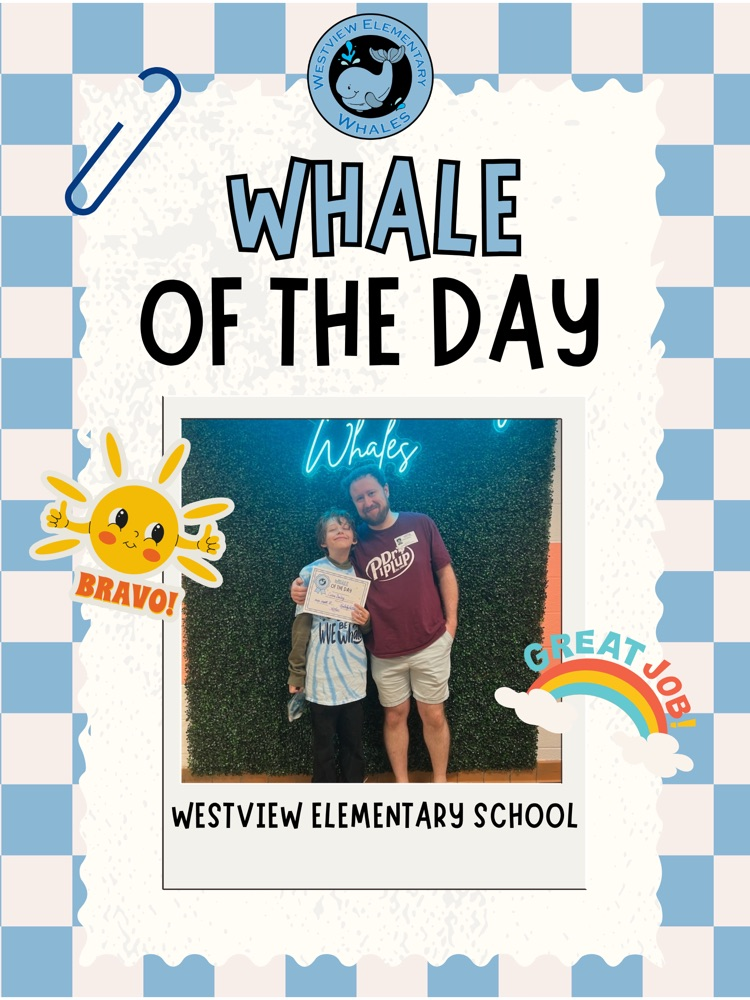 Whale of Day