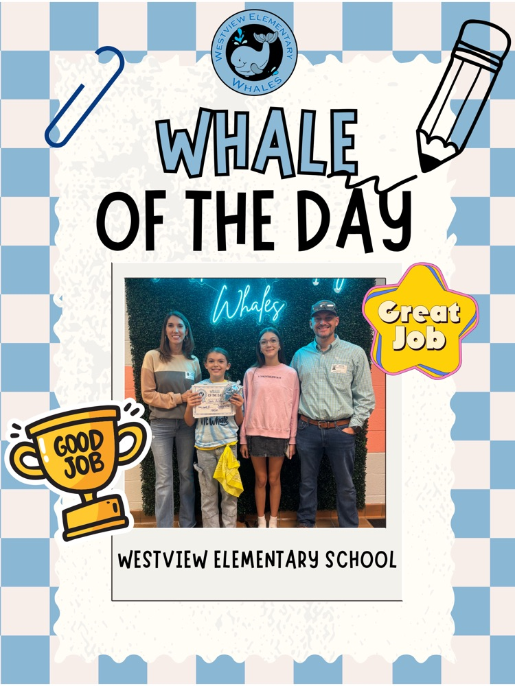 Whale of the Day