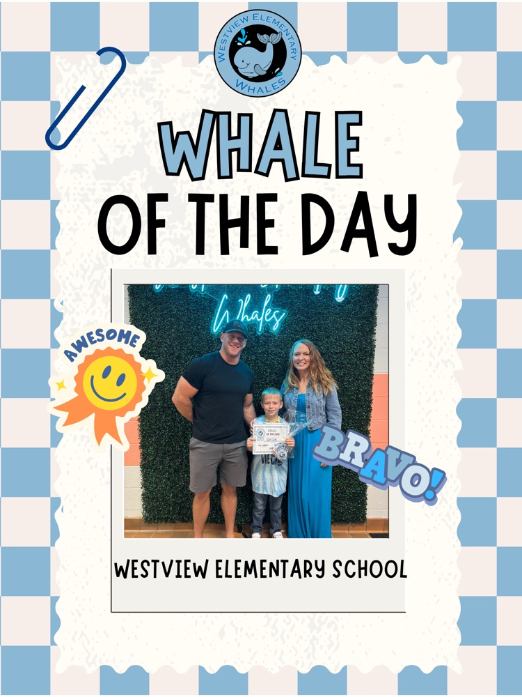 Whale of the Day