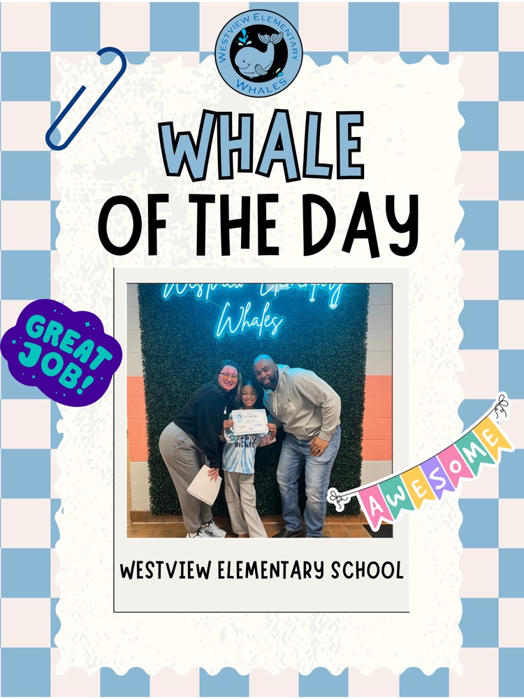 Whale of the Day