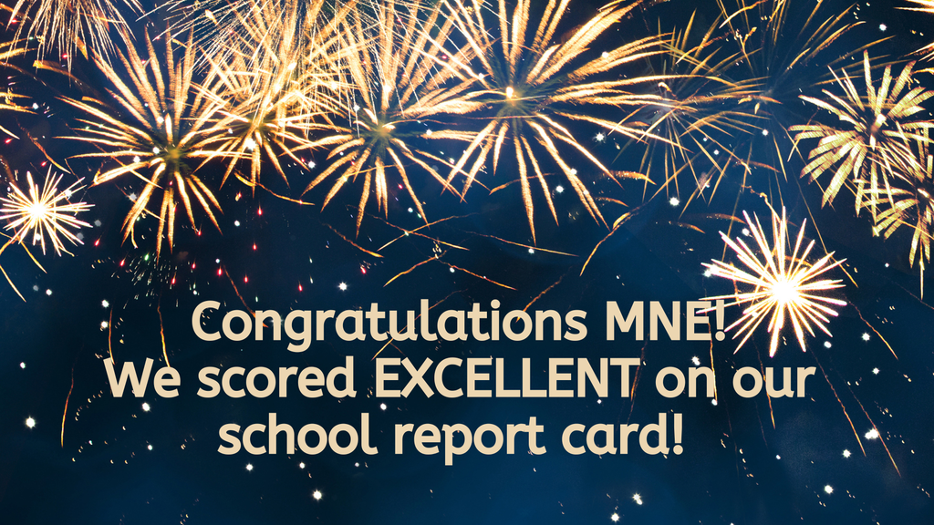 MNE scores EXCELLENT on school report card! 