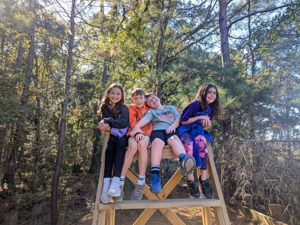 Students get a birds-eye view of the rice fields.