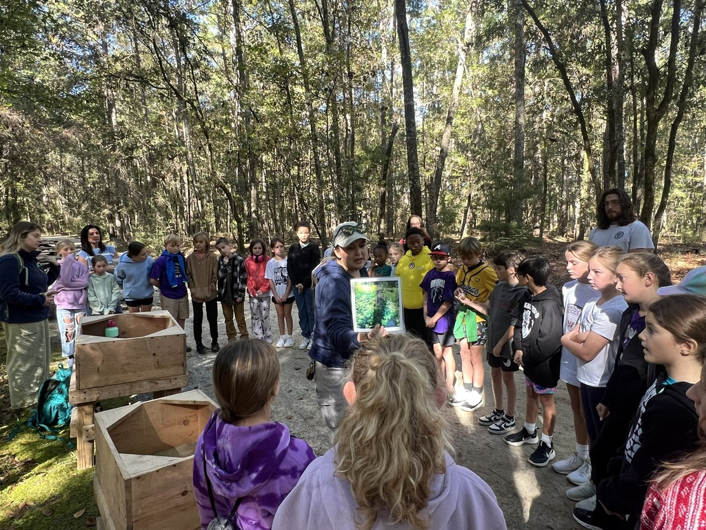 Wooden boxes were used to extract the dye from indigo plants.