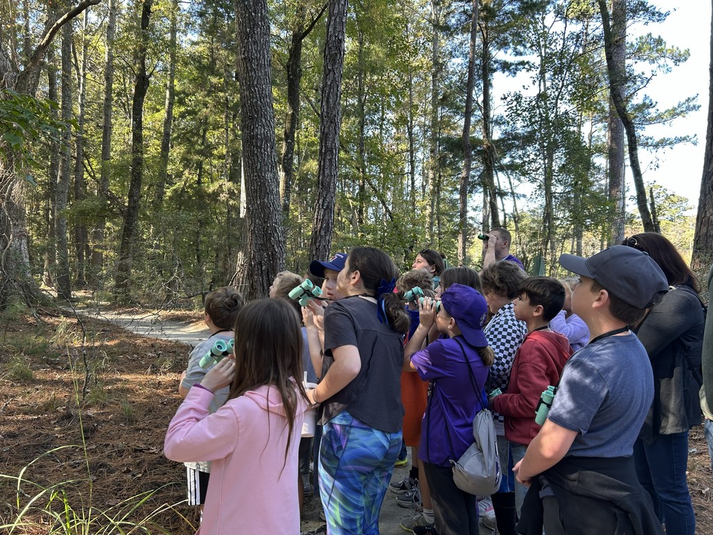 Students look to find a woodpecker.