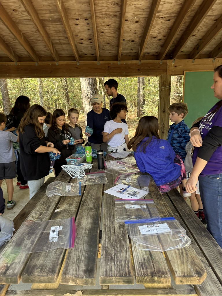 Fourth graders tie-dye t-shirts with indigo.