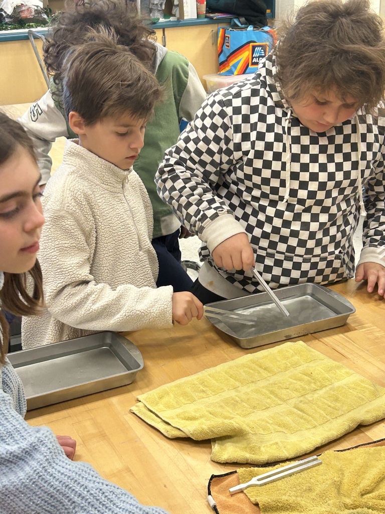 The boys examined the effects of vibrations in water.