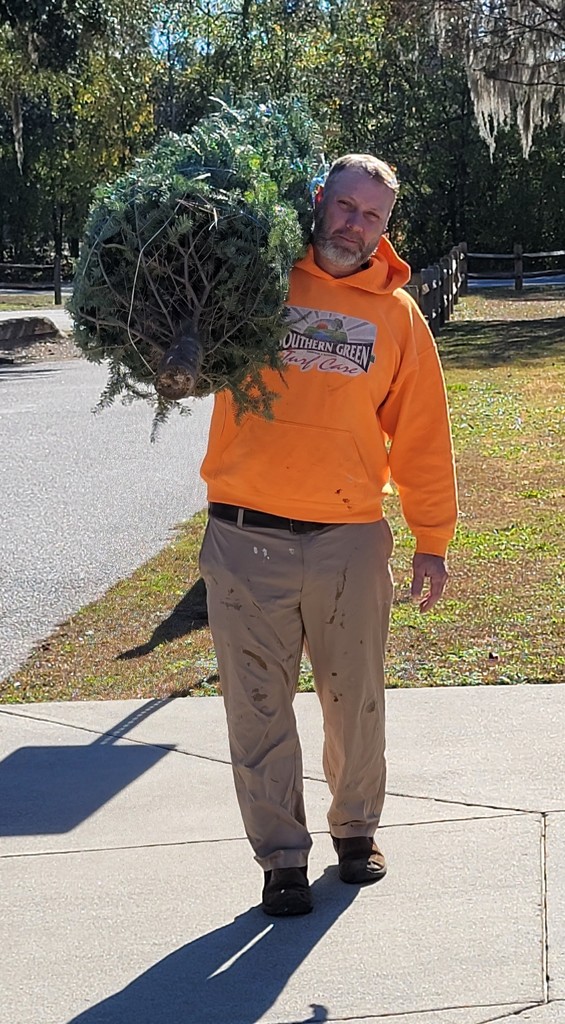 Christmas tree donation
