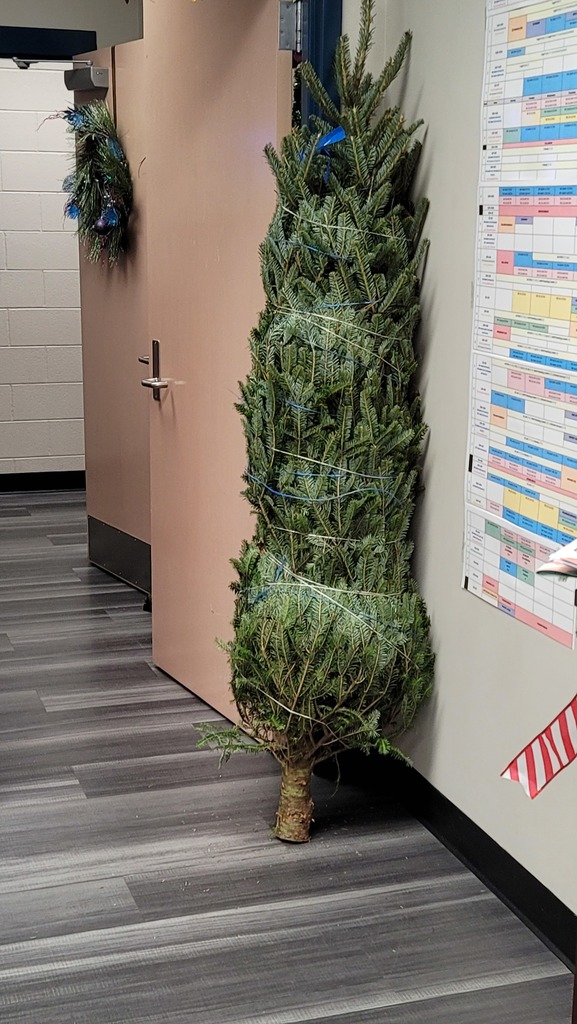 Christmas tree donation