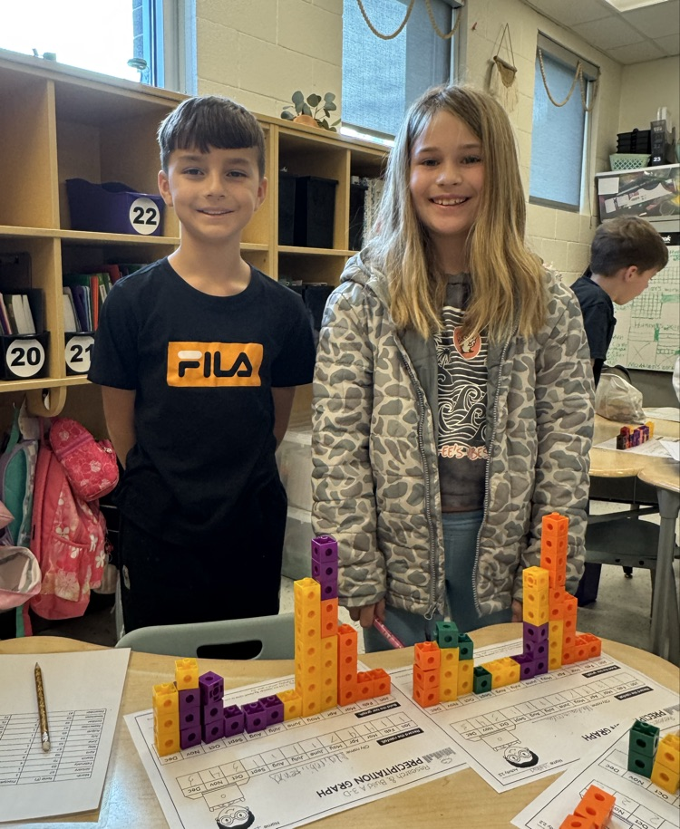 student partners making 3D bar graphs 