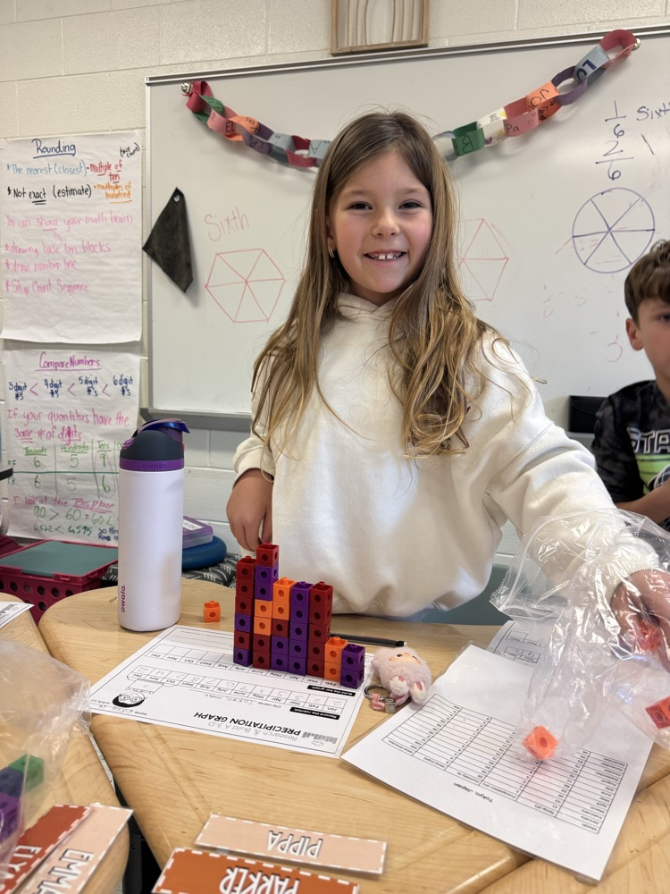 student  making 3D bar graphs 