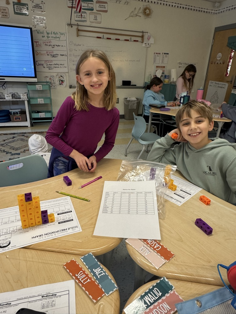 student partners making 3D bar graphs 