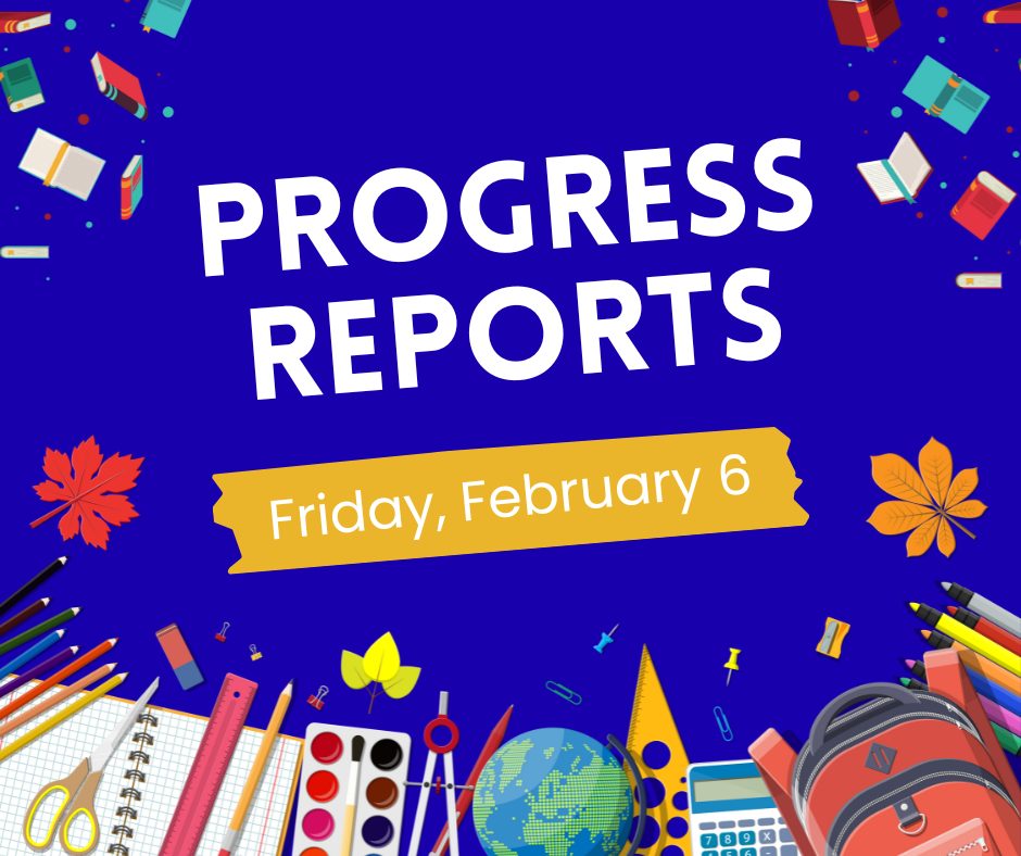Progress Reports