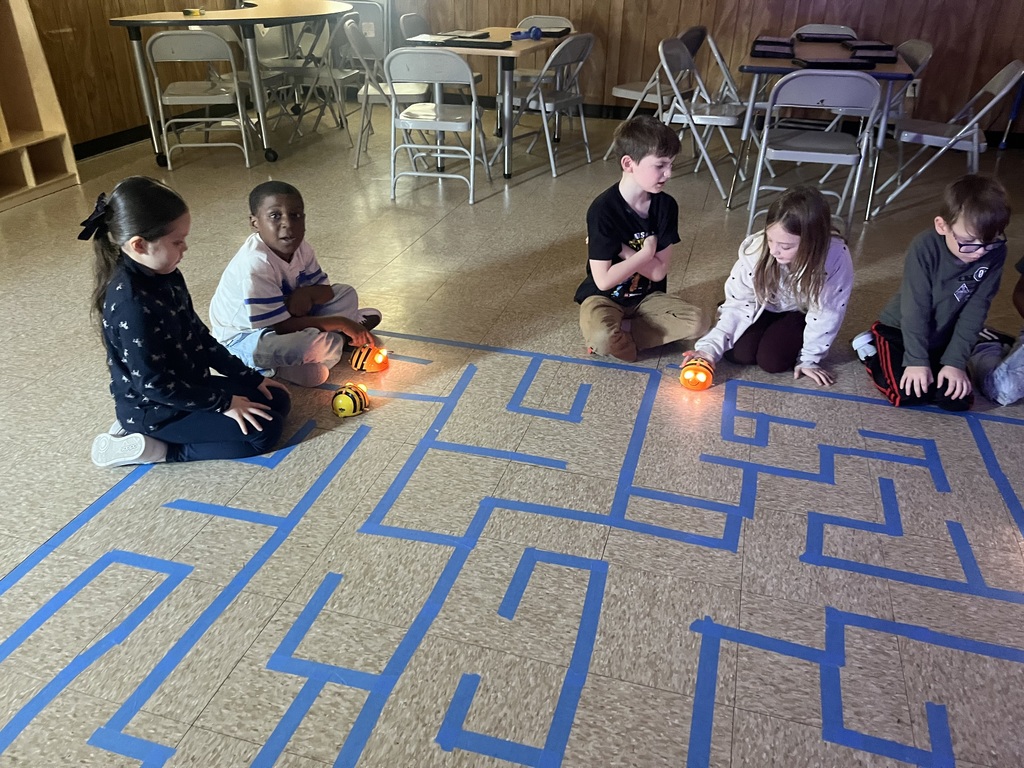 "Beep-boop! 🤖 This week was all about first steps—for both our students and our robots! From Bee-Bots to big ideas, we’re coding our way through the week."