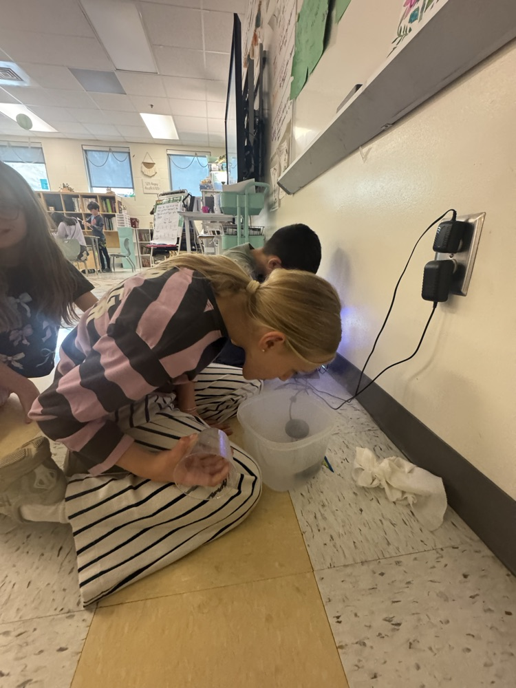 girl in stripes with steam experiment 