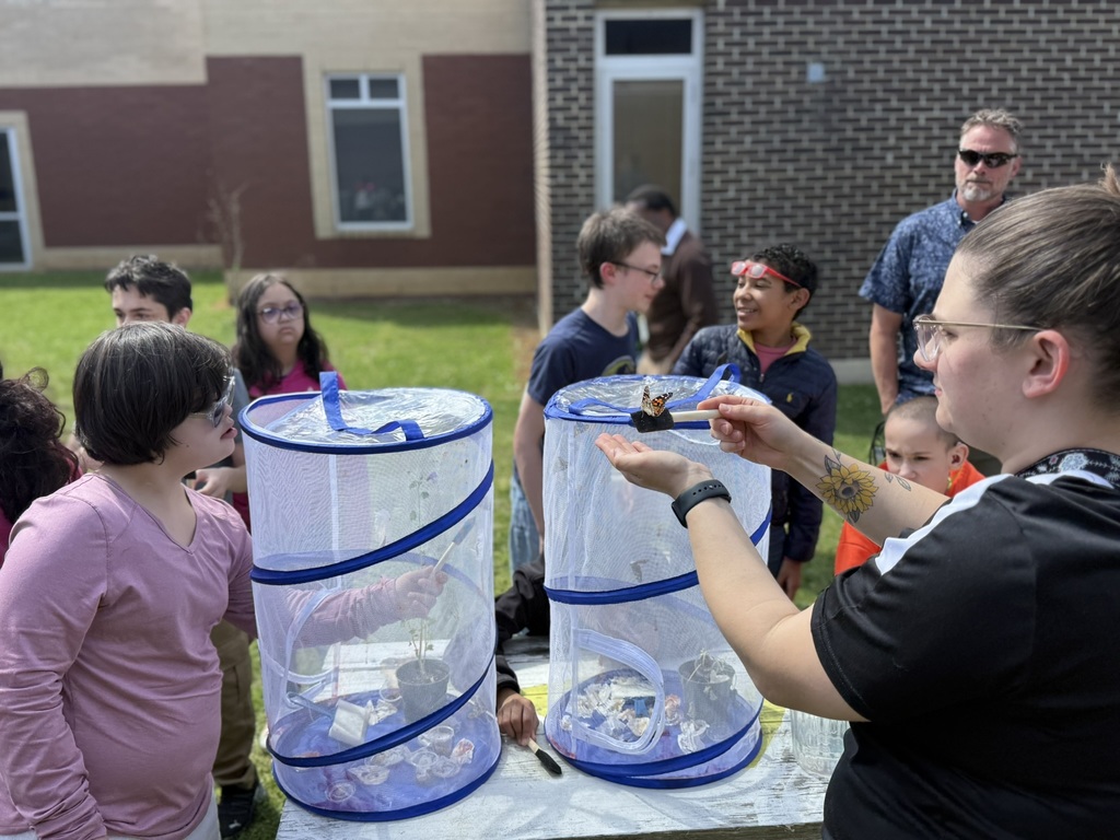 butterfly release