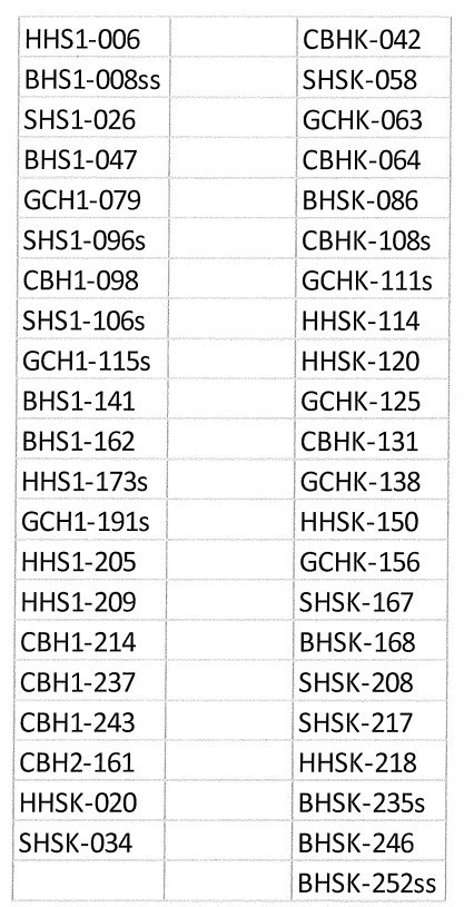 Lottery numbers drawn during lottery night
