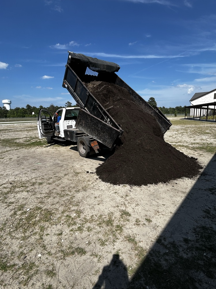 Dirt