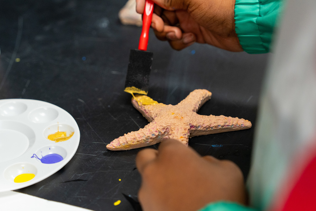 silicon starfish being painted