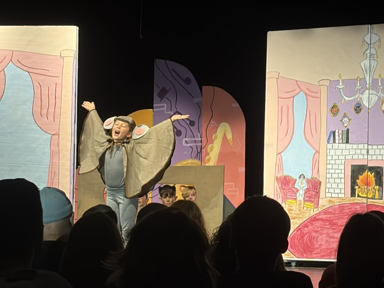 student performance